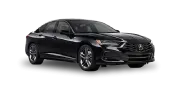 TLX 2019