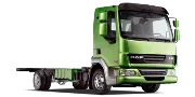 LF 55 2001