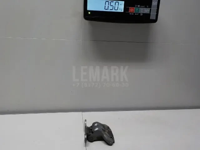 Петля двери задней левой верхняя