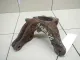 Кулак поворотный передний правый для  Audi A4 [B6] 2000-2004