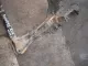 Балка подмоторная для  Citroen Xsara 2000-2005