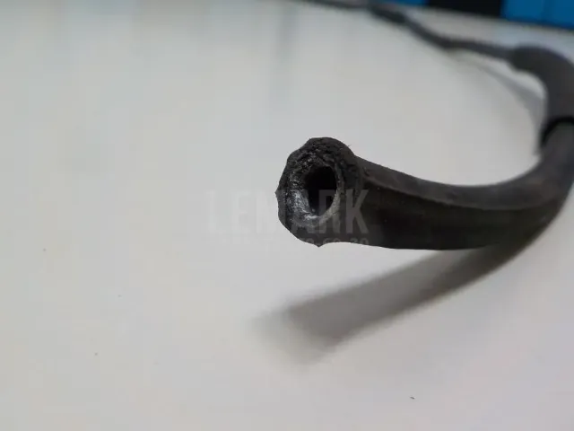 Шланг