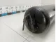 Ресивер воздушный