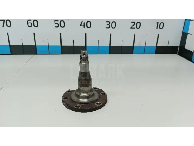 Цапфа (п.з.к.)