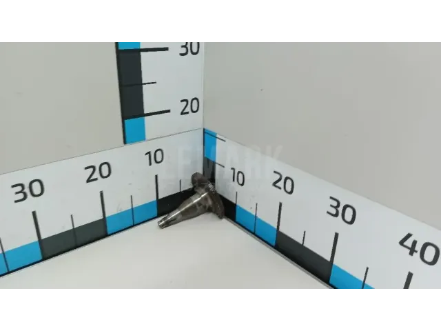 Цапфа (п.з.к.)