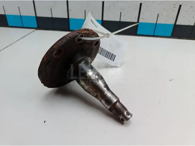 Цапфа (п.з.к.)