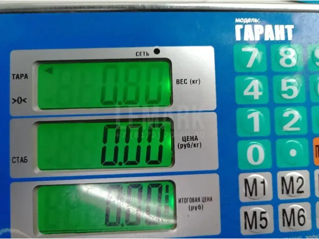 Цапфа (п.з.к.)