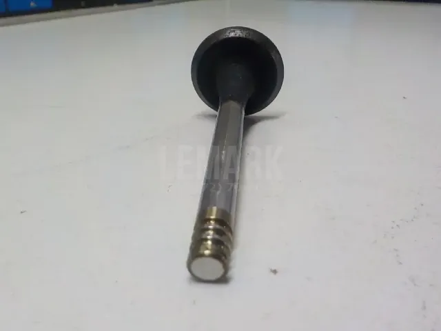 Клапан выпускной