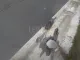 Крыло переднее правое