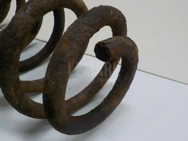Пружина задняя