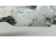 Прокладка (двигатель) для  BMW X3 G01/F97 2017-2024