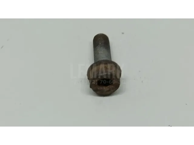 Болт суппорта для  Audi Allroad quattro 2006-2012