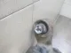 Балка задняя