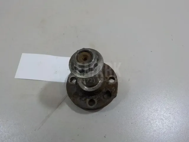 Цапфа (п.з.к.)