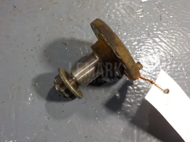 Цапфа (п.з.к.)