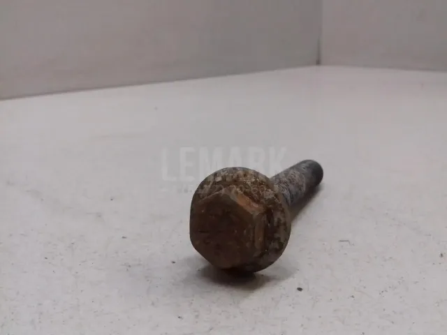 Болт заднего рычага