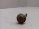 Болт заднего рычага