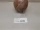 Бачок расширительный
