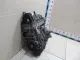 Двигатель для  Chrysler PT Cruiser 2000-2010