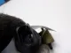 Насос омывателя