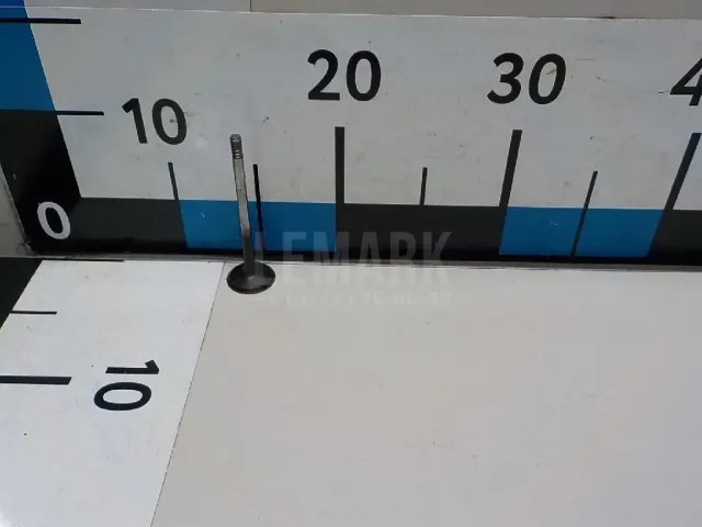 Клапан выпускной