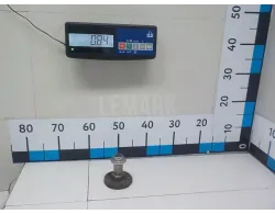 Цапфа (п.з.к.)