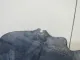 Пыльник двигателя центральный