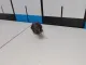 Датчик включения заднего хода
