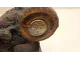 Кулак поворотный передний правый для  Audi 100/200 [44] 1983-1991