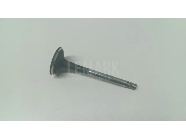 Клапан выпускной