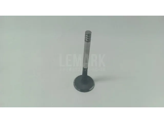 Клапан выпускной