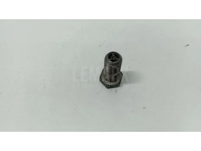 Болт полый