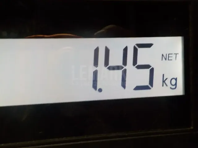 Локер задний левый
