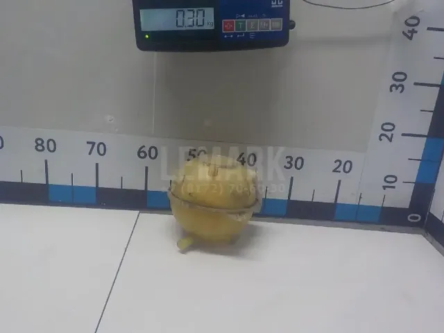 Бачок расширительный