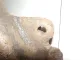 Кулак поворотный передний правый