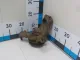 Кулак поворотный передний правый для  BMW X3 E83 2004-2010