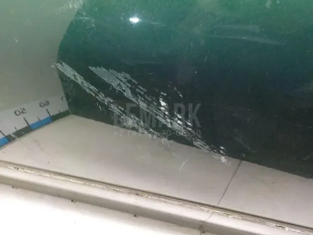 Дверь передняя левая