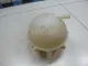 Бачок расширительный