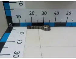 Шатун