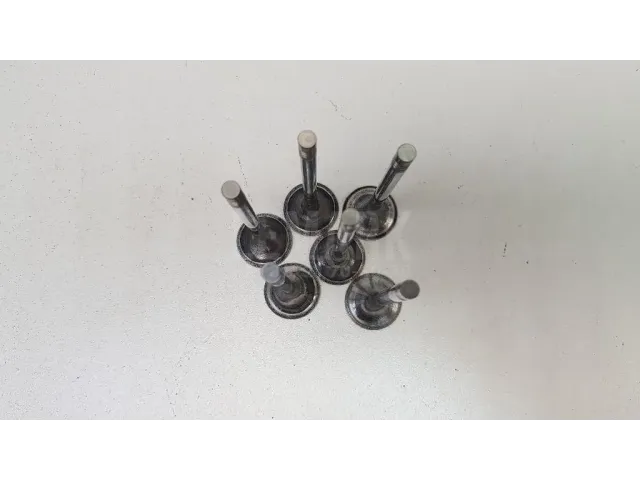 Клапан выпускной