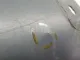 Накладка стойки