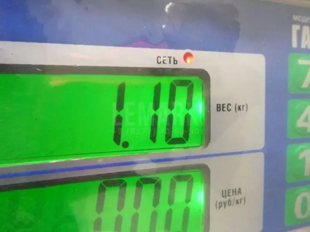 Цапфа (п.з.к.) для  Exeed TXL (M32T) 2019