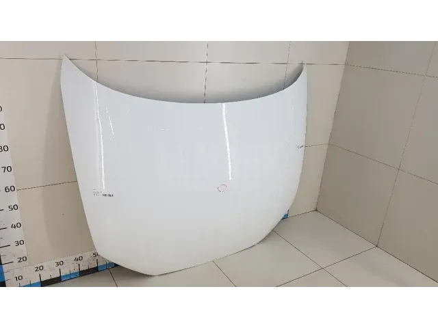 Капот для  Exeed RX / Yaoguang (T22) 2023