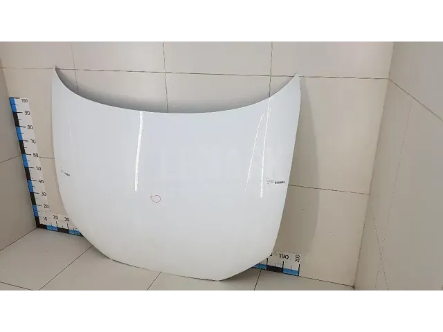 Капот для  Exeed RX / Yaoguang (T22) 2023