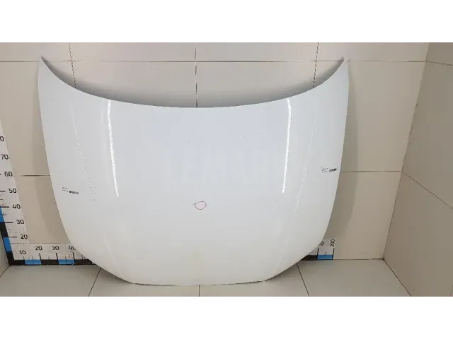 Капот для  Exeed RX / Yaoguang (T22) 2023