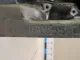 Блок двигателя для  Honda Accord VII 2003-2008