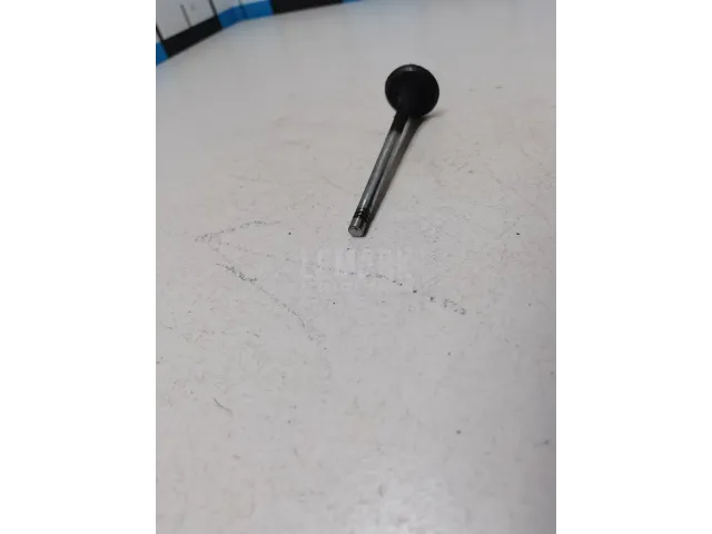 Клапан выпускной