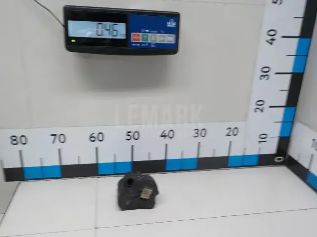 Моторчик стояночного тормоза