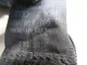 Ремень безопасности для  Audi A4 [B5] 1994-2001