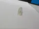 Подсветка для  Changan Alsvin (B511) 2018